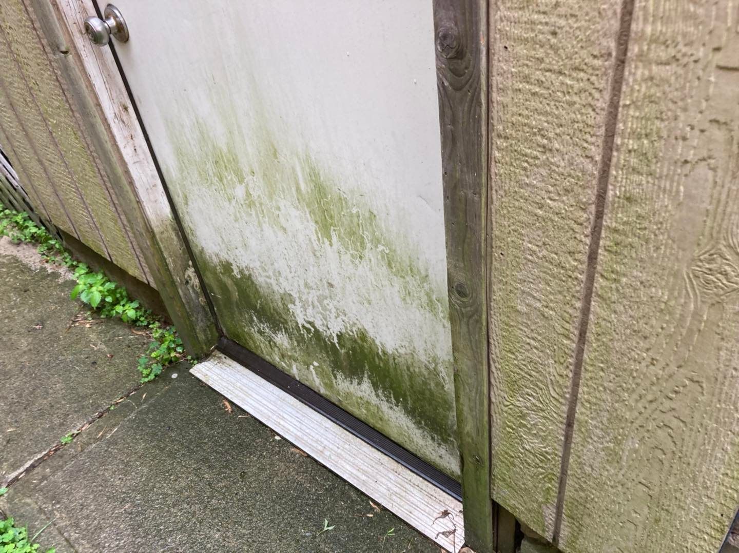 A close up of a door with green mold on it.