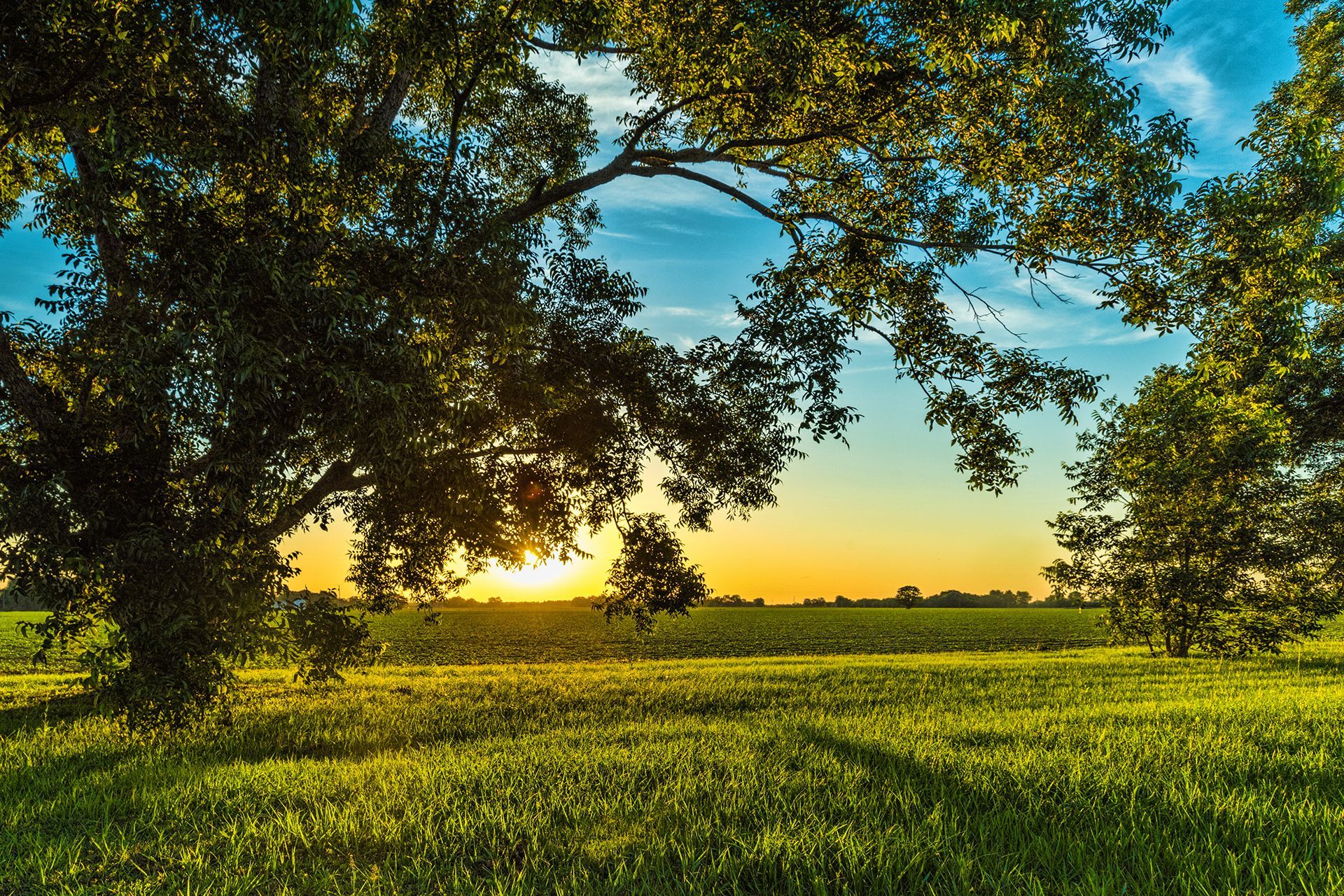 field near Williamsport Indiana