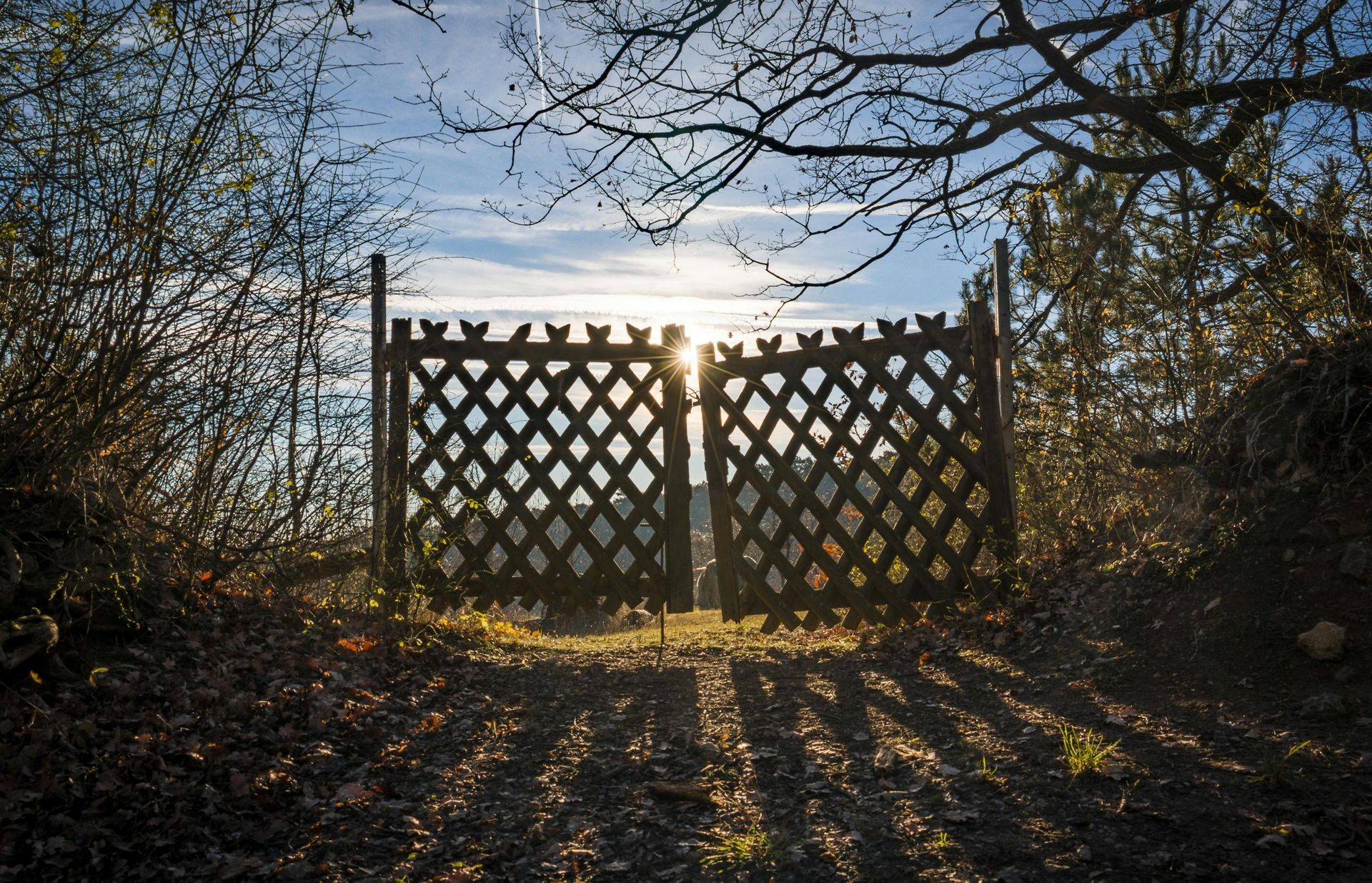 The sun is shining through a wooden gate in the woods.