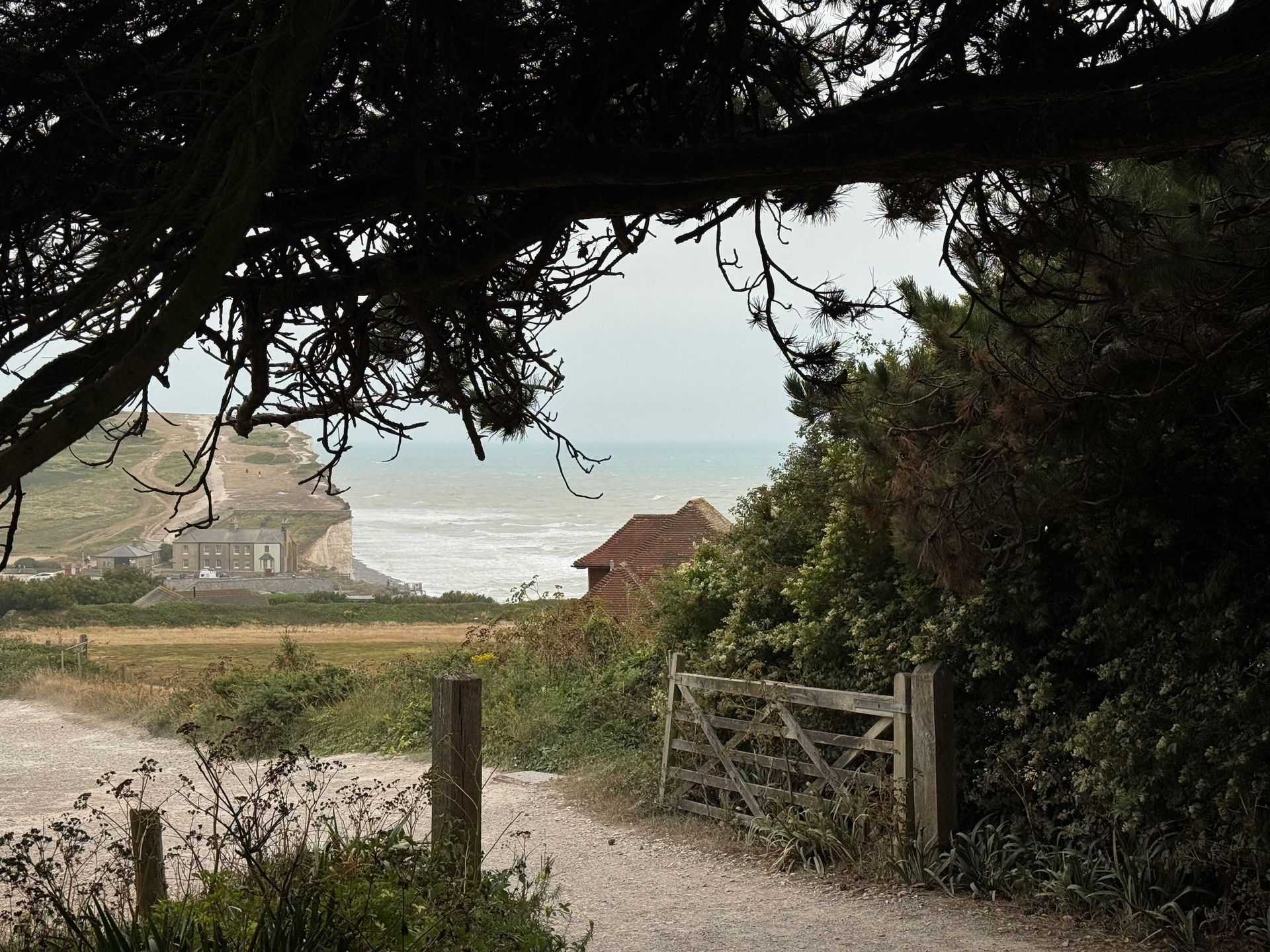 A path leading to the ocean is surrounded by trees