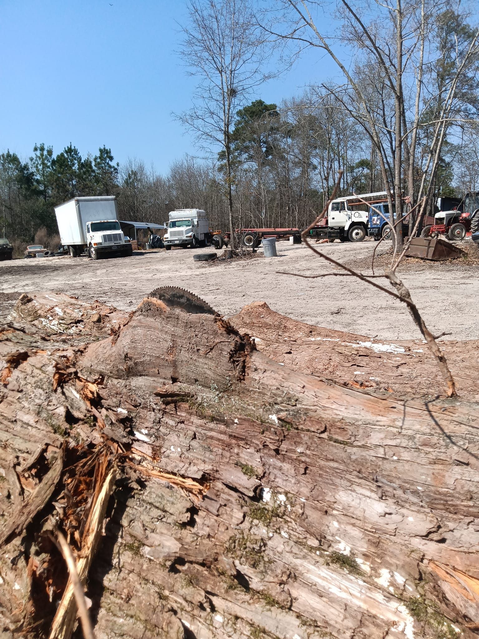 A lot of trucks are parked in a dirt lot.
