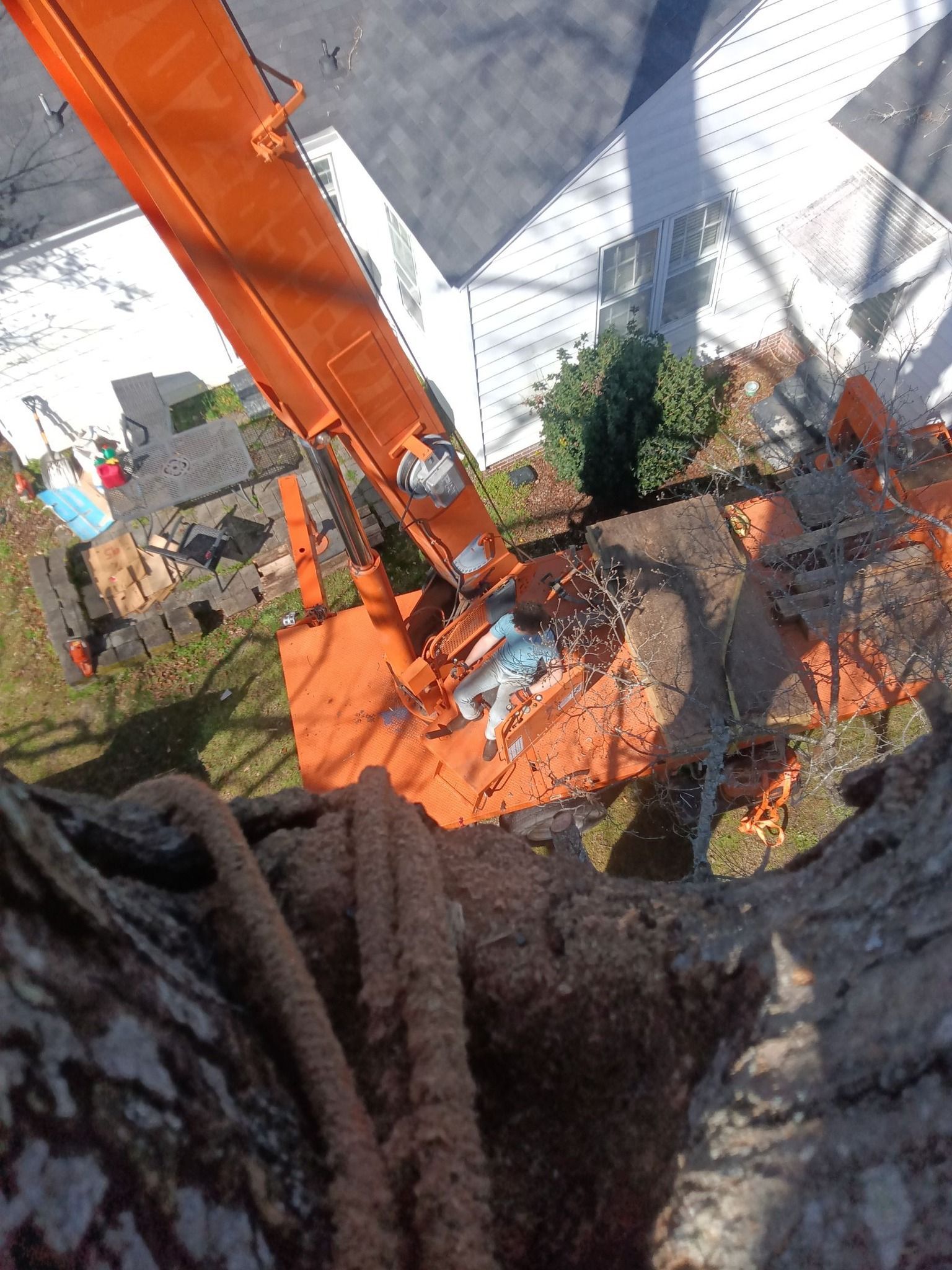 A crane is being used to remove a tree stump from a tree.