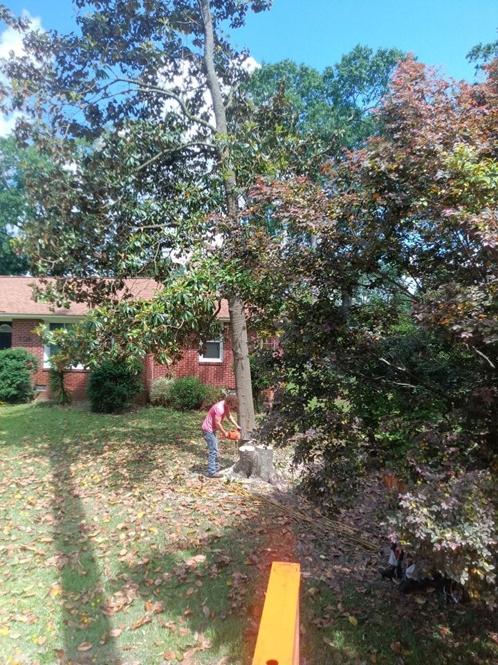 A man is cutting down a tree in front of a house.