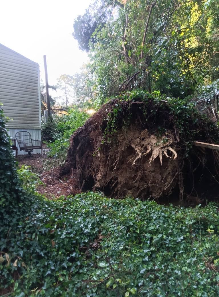 A large tree stump is sitting in the middle of a yard next to a house.