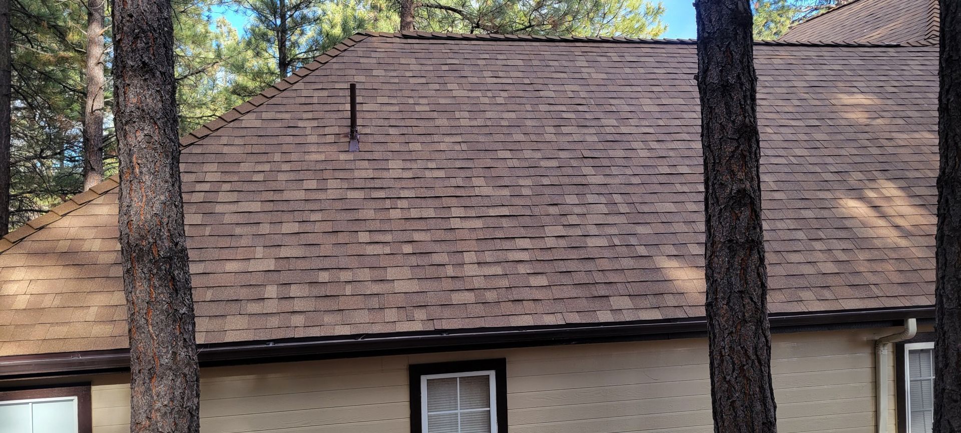 A house with a roof that is surrounded by trees