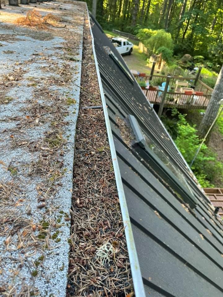 Roof edge covered with dry leaves beside a gray metal roof and greenery below