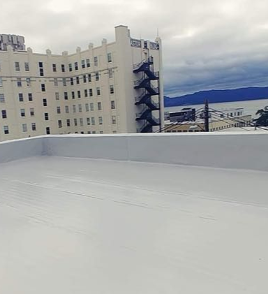 Commercial roof with Duro-Last Single-Ply Membrane Roof System overlooking the city.