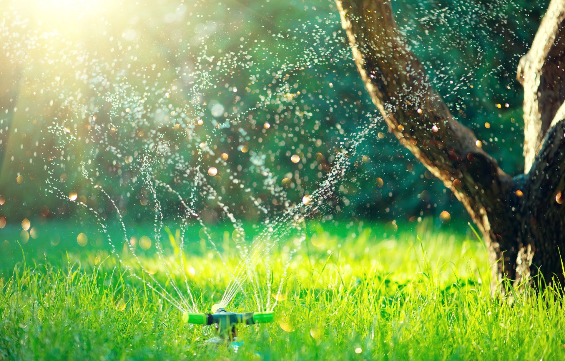 Smart garden activated with full automatic sprinkler irrigation system working in a green park