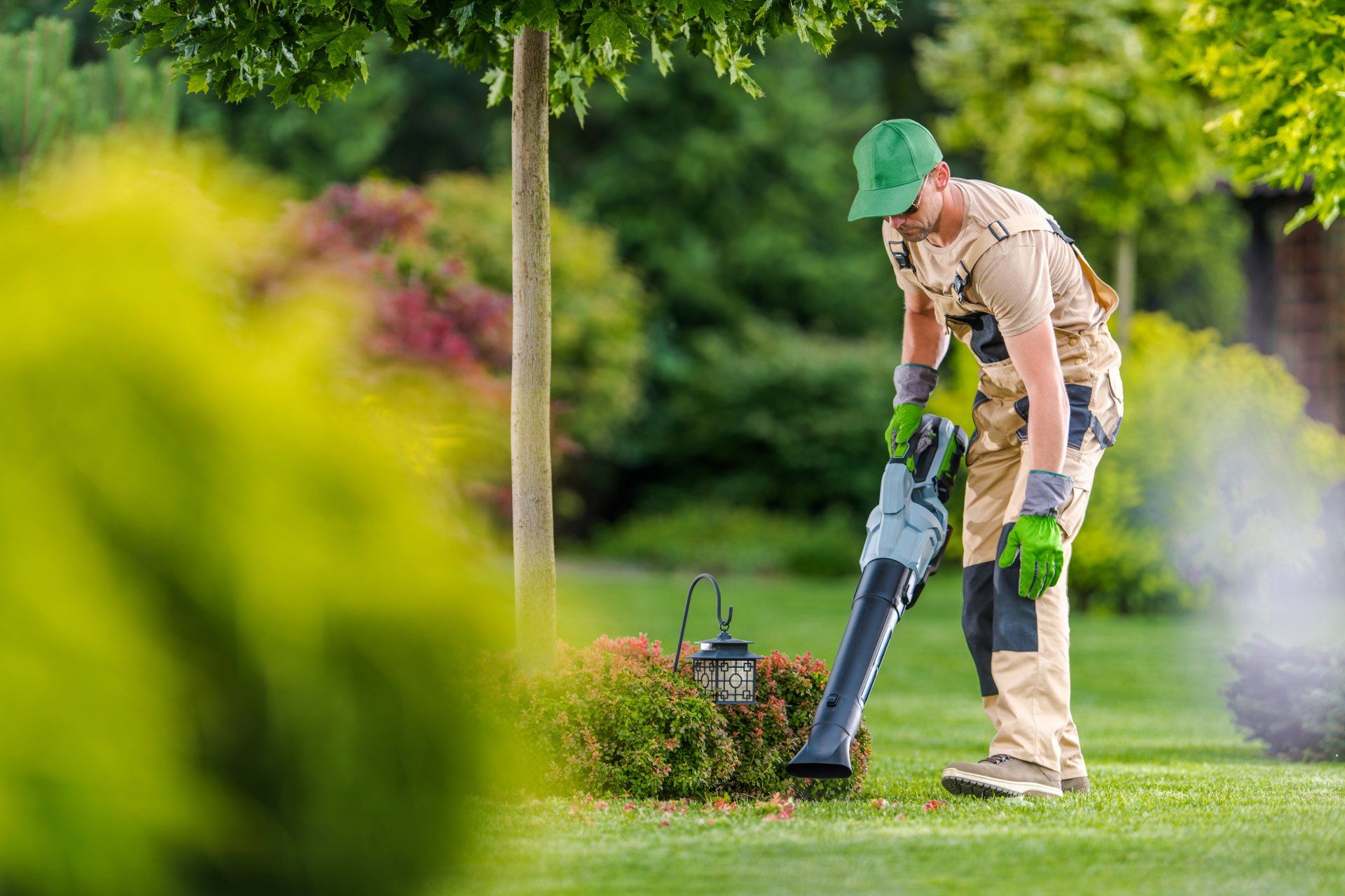 Cleaning Backyard Garden Lawn Using Modern Electric Cordless Leaf Blower