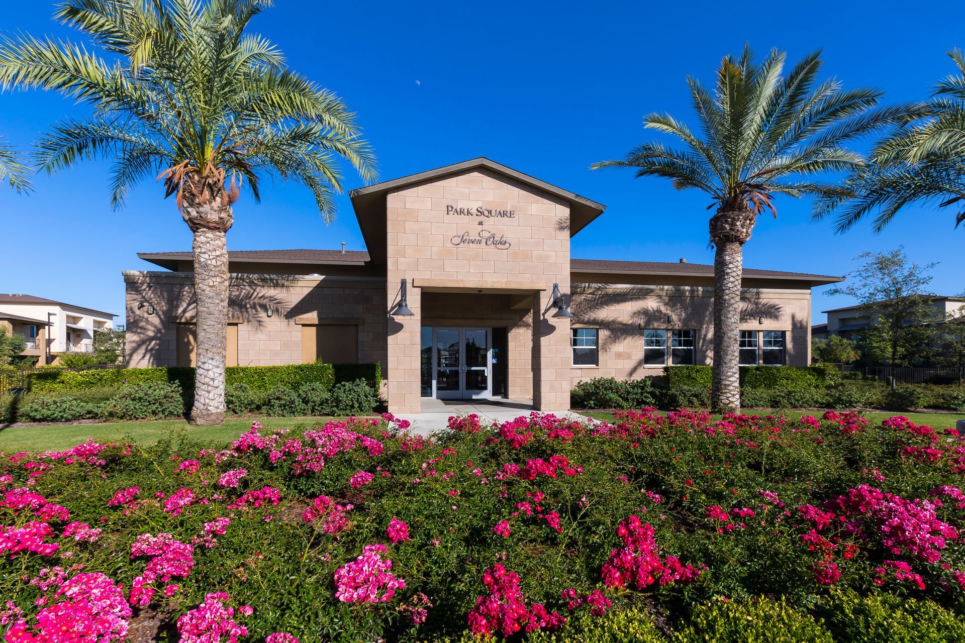 A building with palm trees and pink flowers in front of it