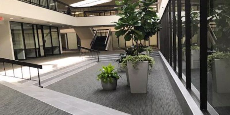 Indoor atrium with plants in planters and a staircase.