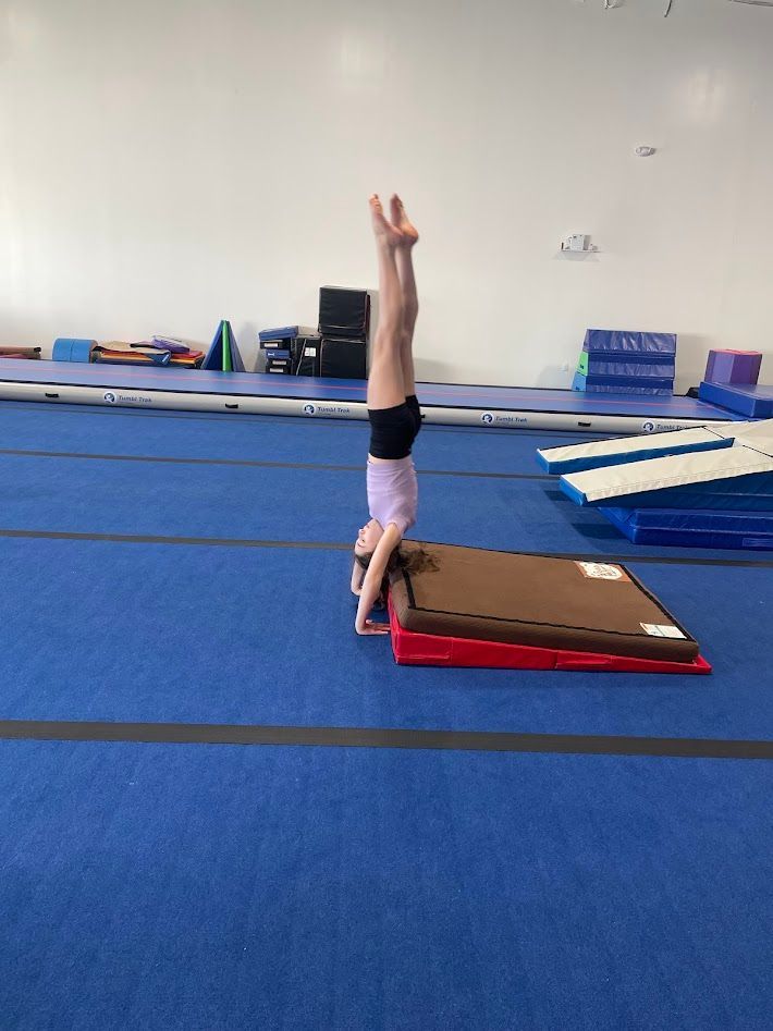 Fly Kids Ninja & Parkour Academy