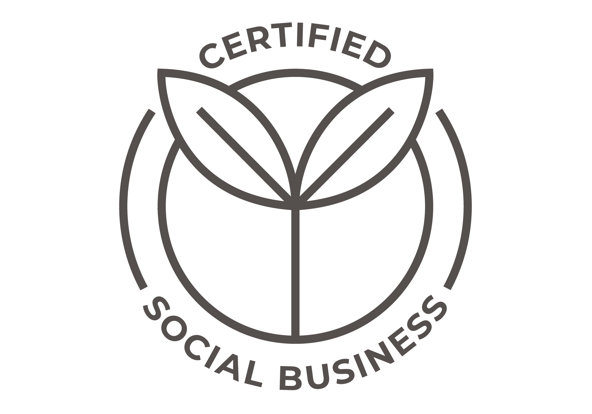 Social Business