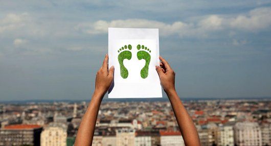 carbon footprint