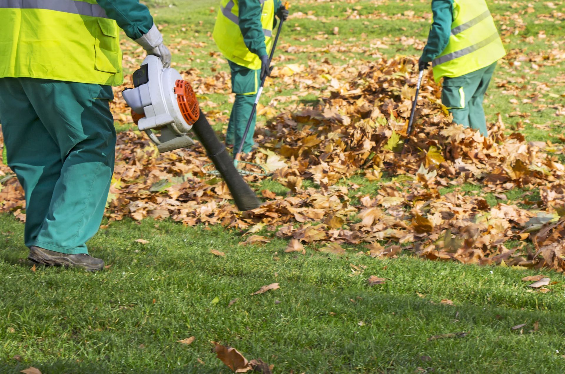 A group of people are blowing leaves in a park.