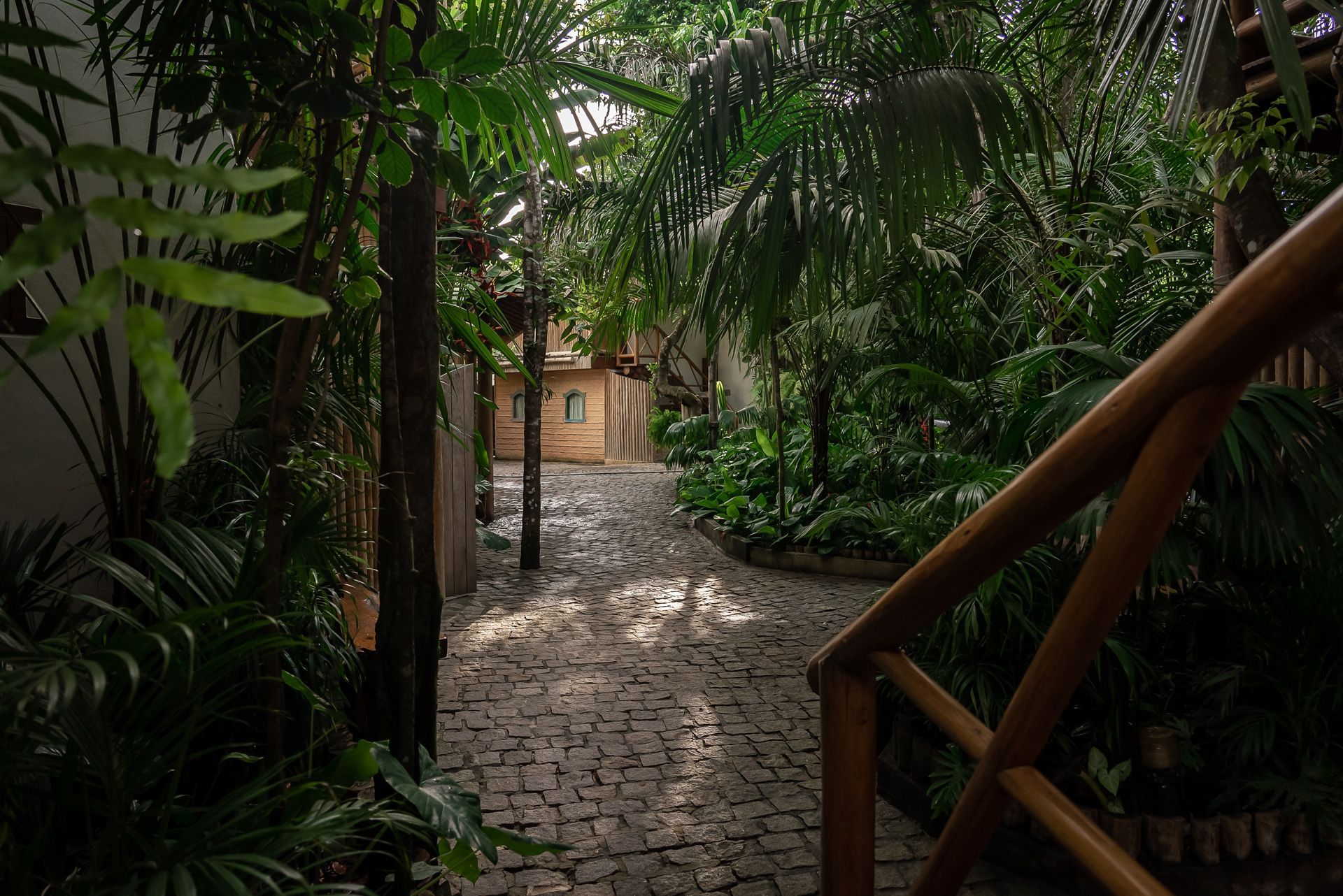 Caminho de pedra em meio a uma exuberante vegetação tropical, que leva a uma pequena construção de madeira com um corrimão também de madeira.