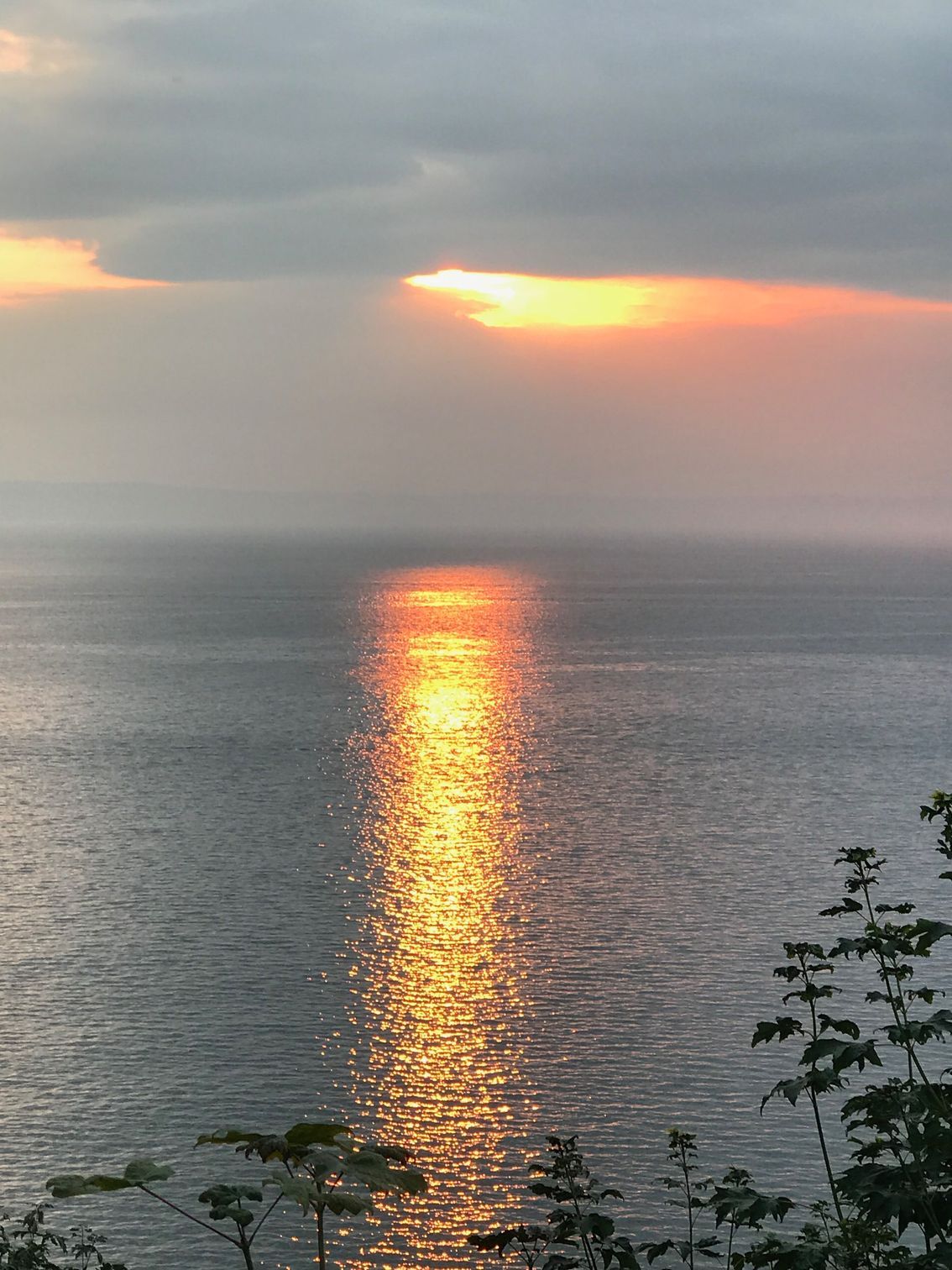 A sunset over a body of water with trees in the foreground