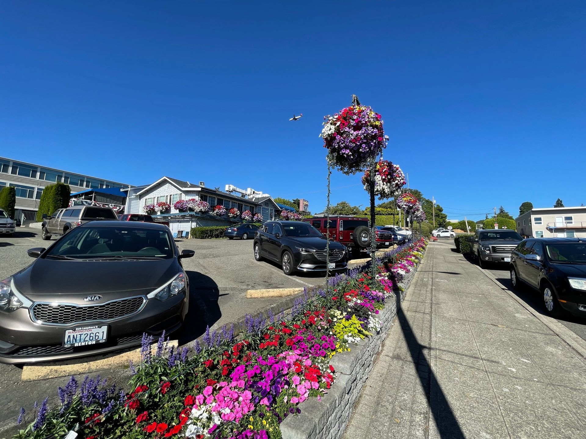 A row of cars are parked in a parking lot surrounded by flowers.