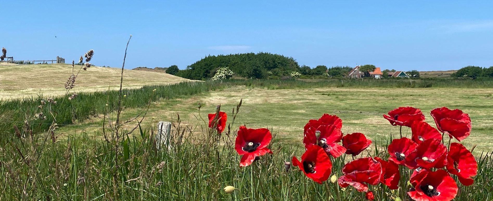 Terschelling