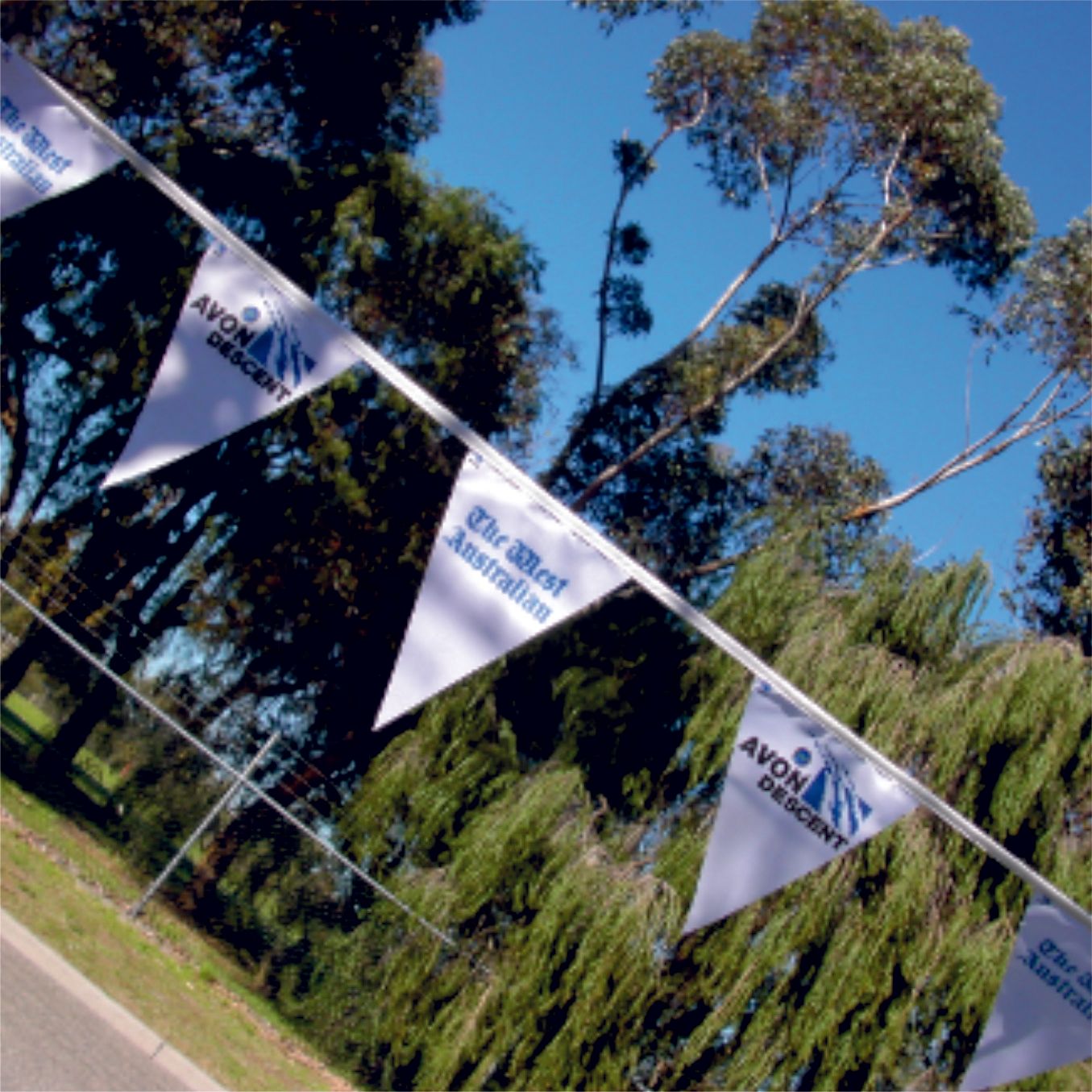 Printed bunting