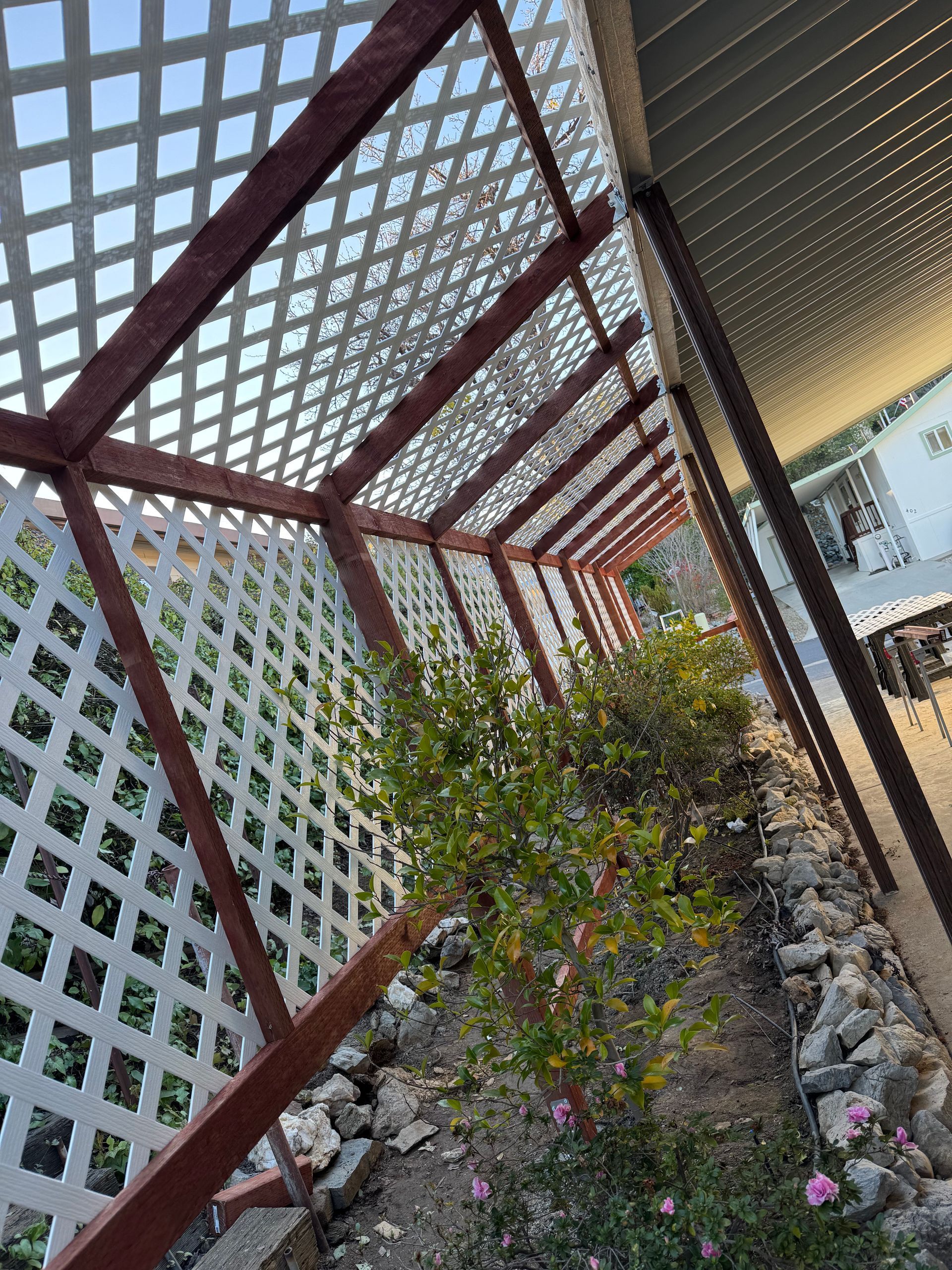 A white lattice fence surrounds a lush green garden.