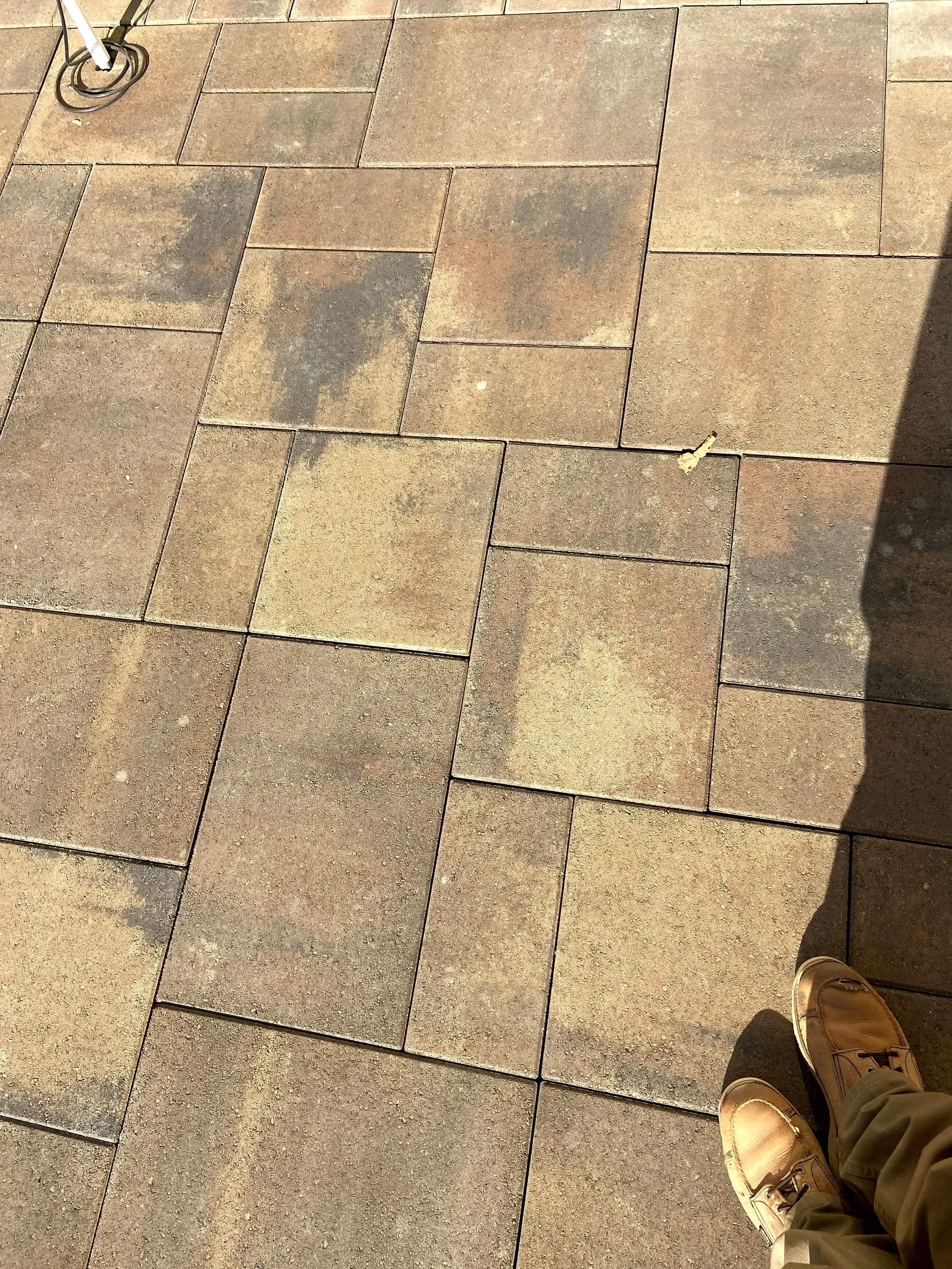 A person is standing on a brick patio with a dog on a leash.