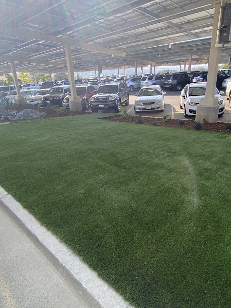 A lot of cars are parked under a canopy in a parking lot.