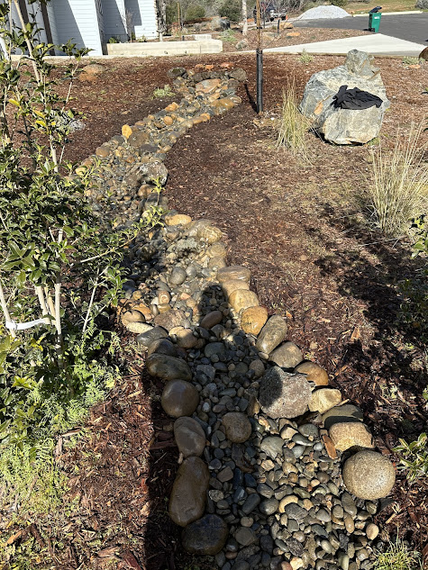 A shadow of a person is cast on a rocky path in a garden.