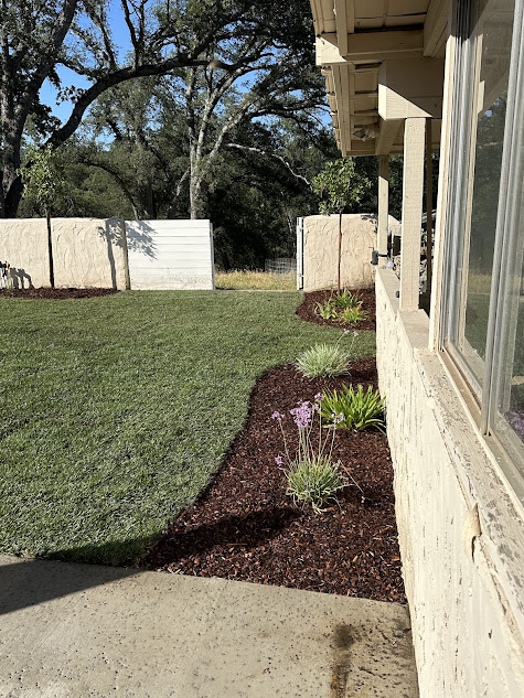 A house with a lush green lawn and flowers in front of it.
