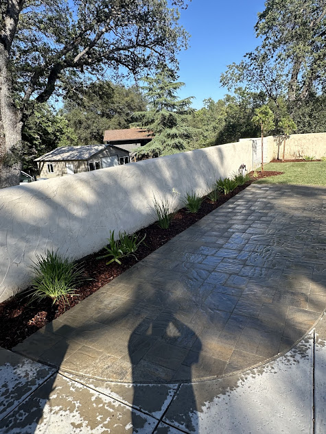 A shadow of a person is cast on a concrete walkway.