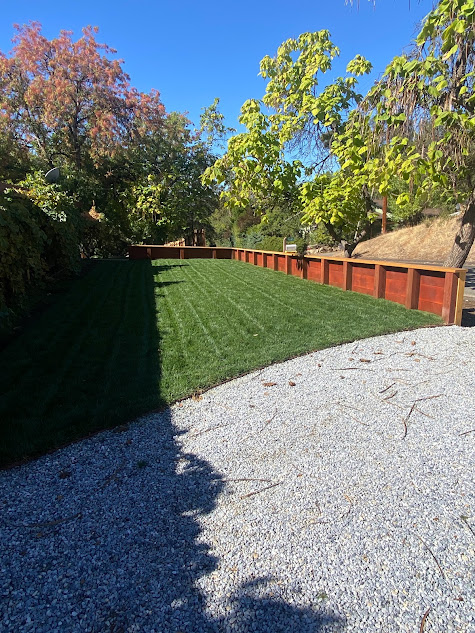 A gravel driveway leading to a lush green yard with a wooden fence.