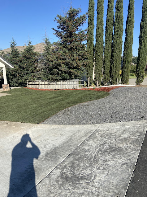 A person is taking a picture of a driveway with trees in the background.