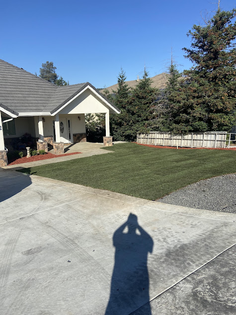 A shadow of a person is cast on the sidewalk in front of a house