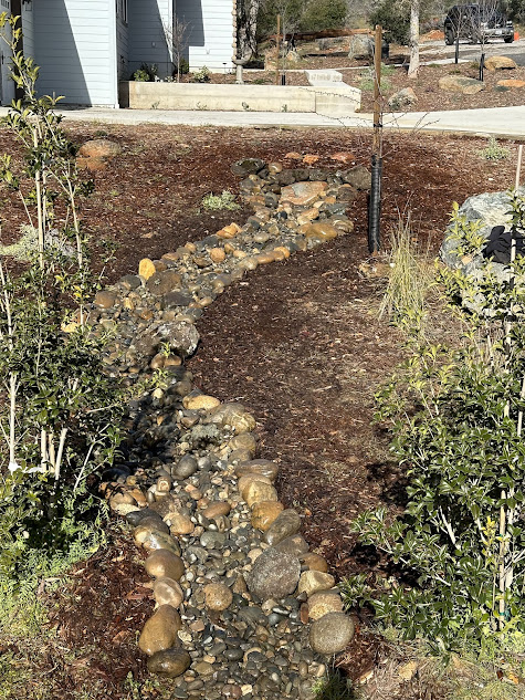 A stream of water is running through a lush green garden.