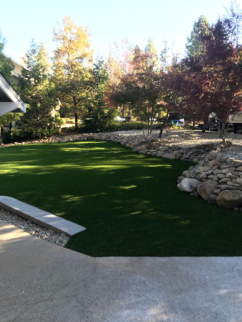 A lush green lawn is surrounded by trees and rocks