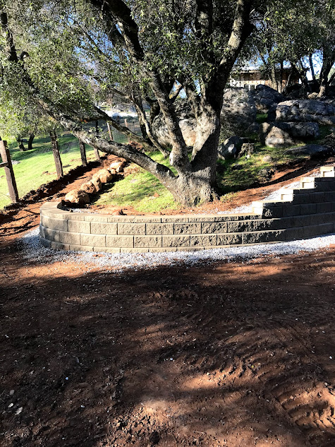 A stone wall is sitting on top of a dirt hill next to a tree.