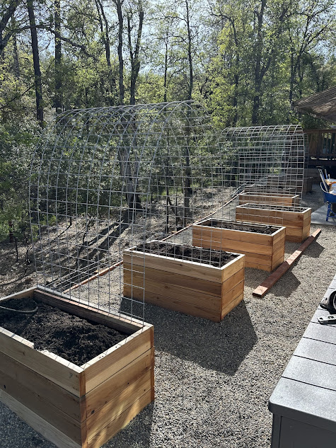 A group of wooden planters sitting next to each other in a garden.