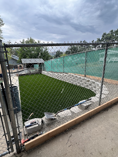 A chain link fence surrounds a lush green lawn.