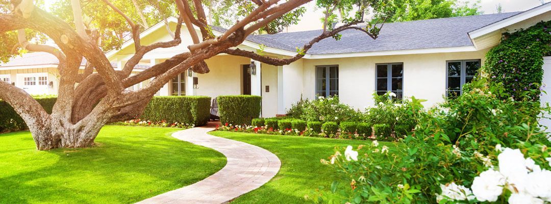 A white house with a tree in front of it and a path leading to it.