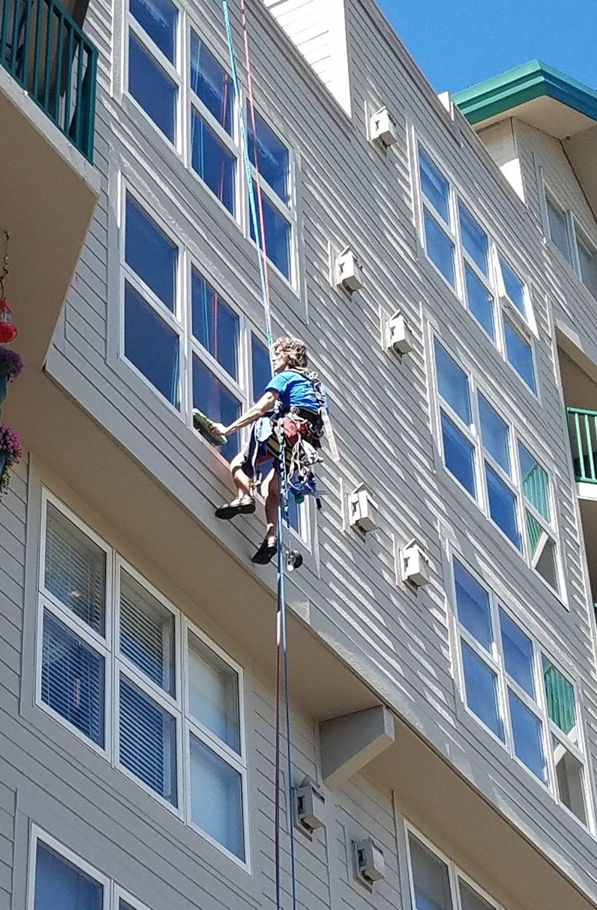 window cleaning