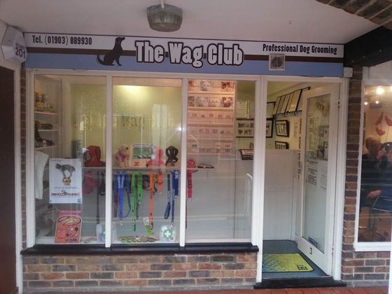The Wag club
