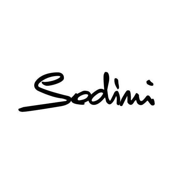 Logo Sodini
