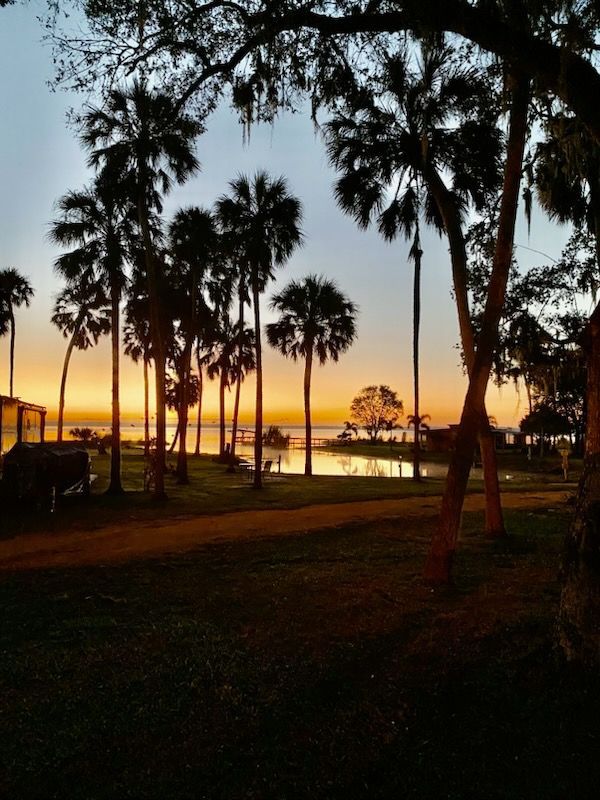 A sunset over a body of water with palm trees in the foreground