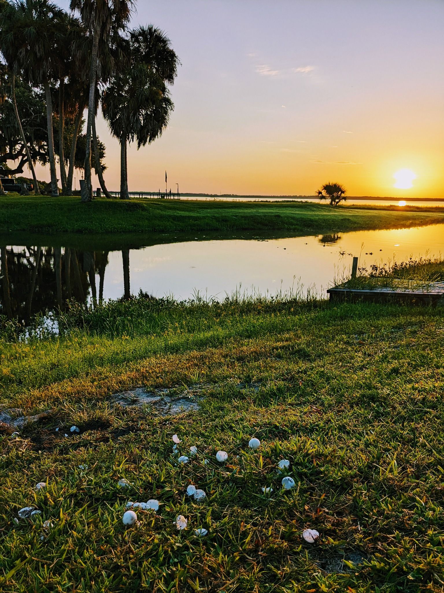 A sunset over a body of water with trees in the background