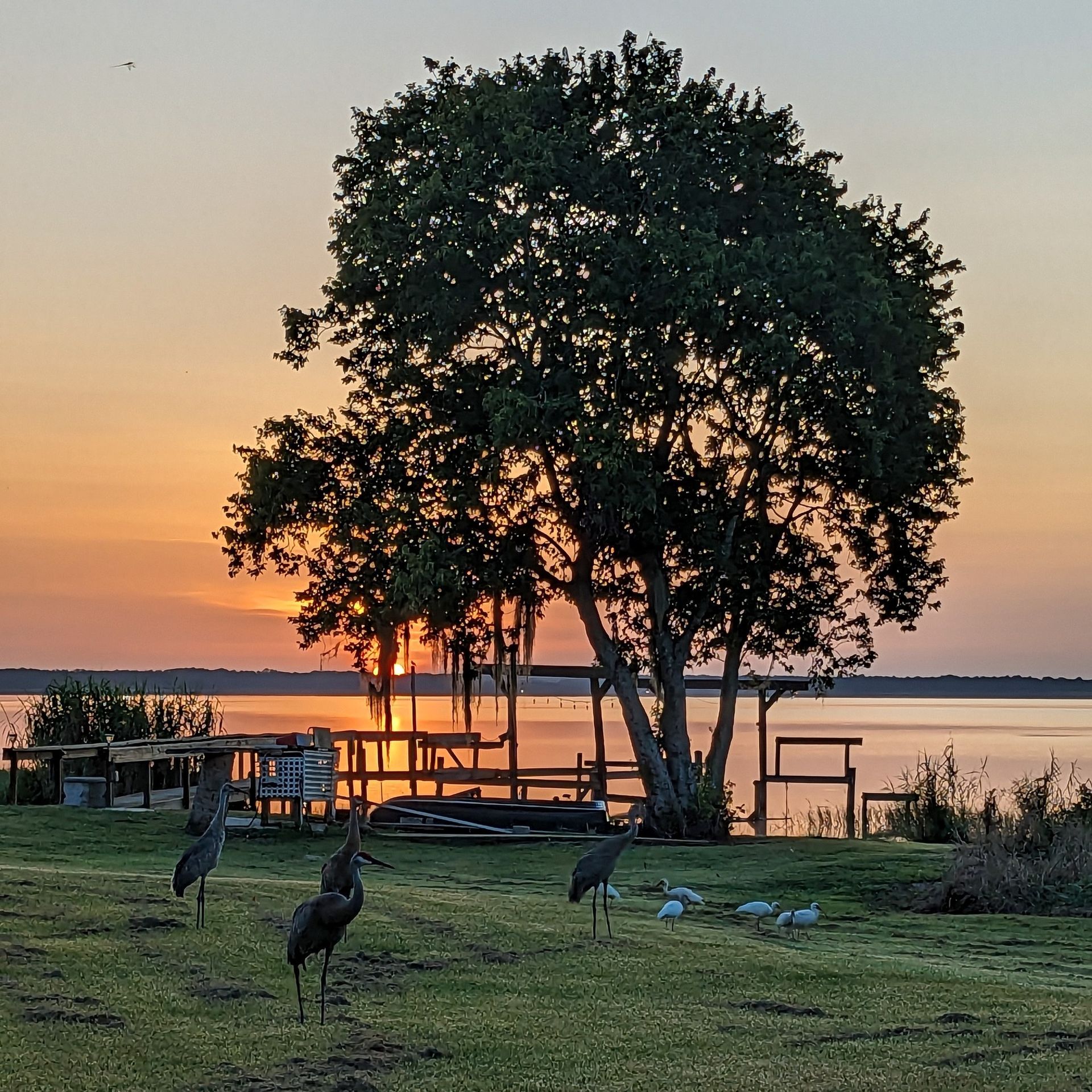 Top Things to Do Near Lake Wales RV Parks | Butch’s Hideaway