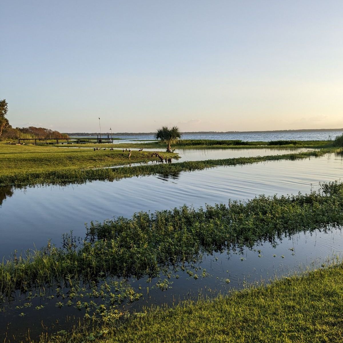 A large body of water surrounded by grass and trees