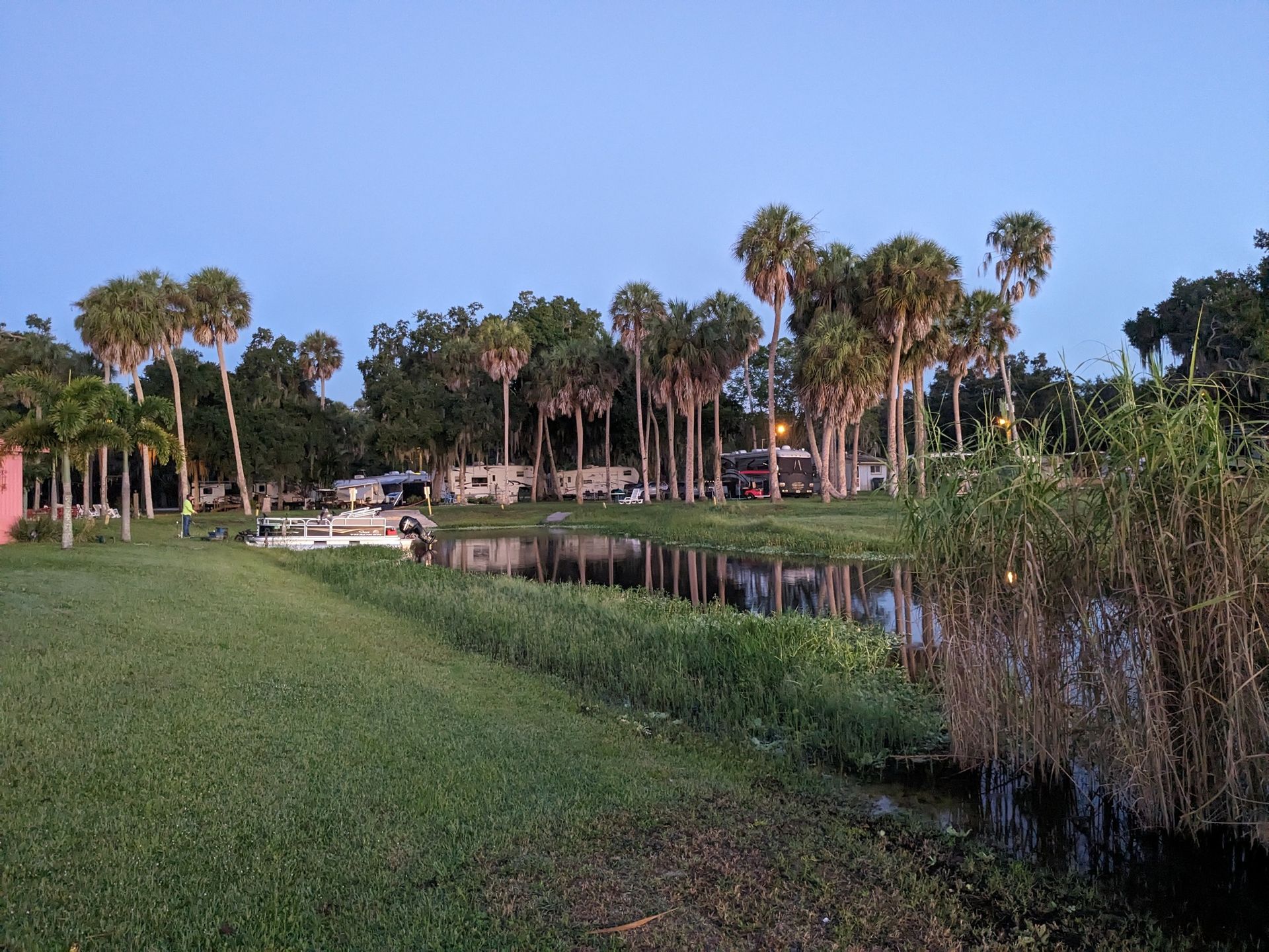 A row of palm trees next to a body of water.