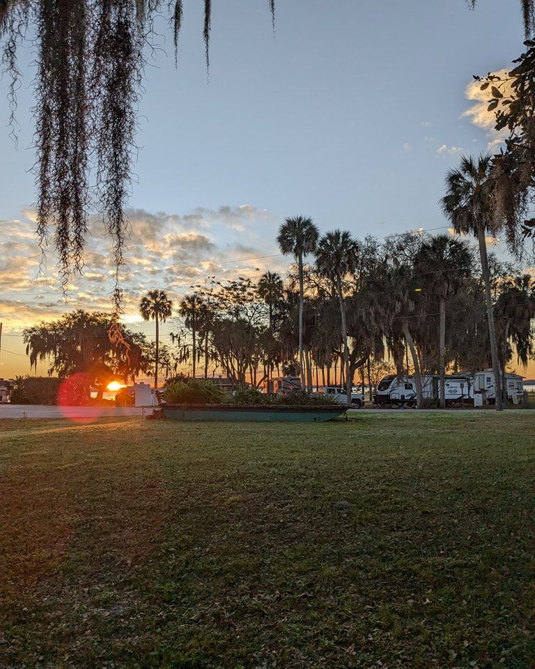 The sun is setting behind a row of palm trees in a park.