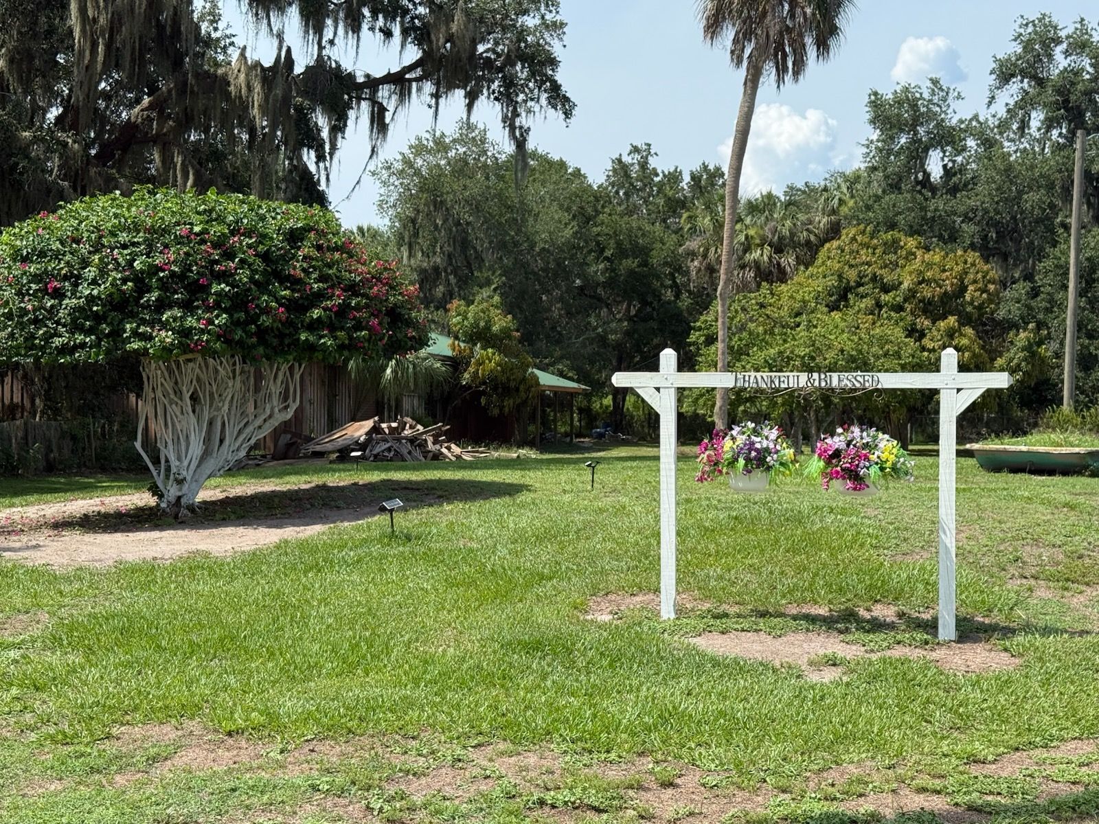 A for sale sign is in the middle of a grassy field