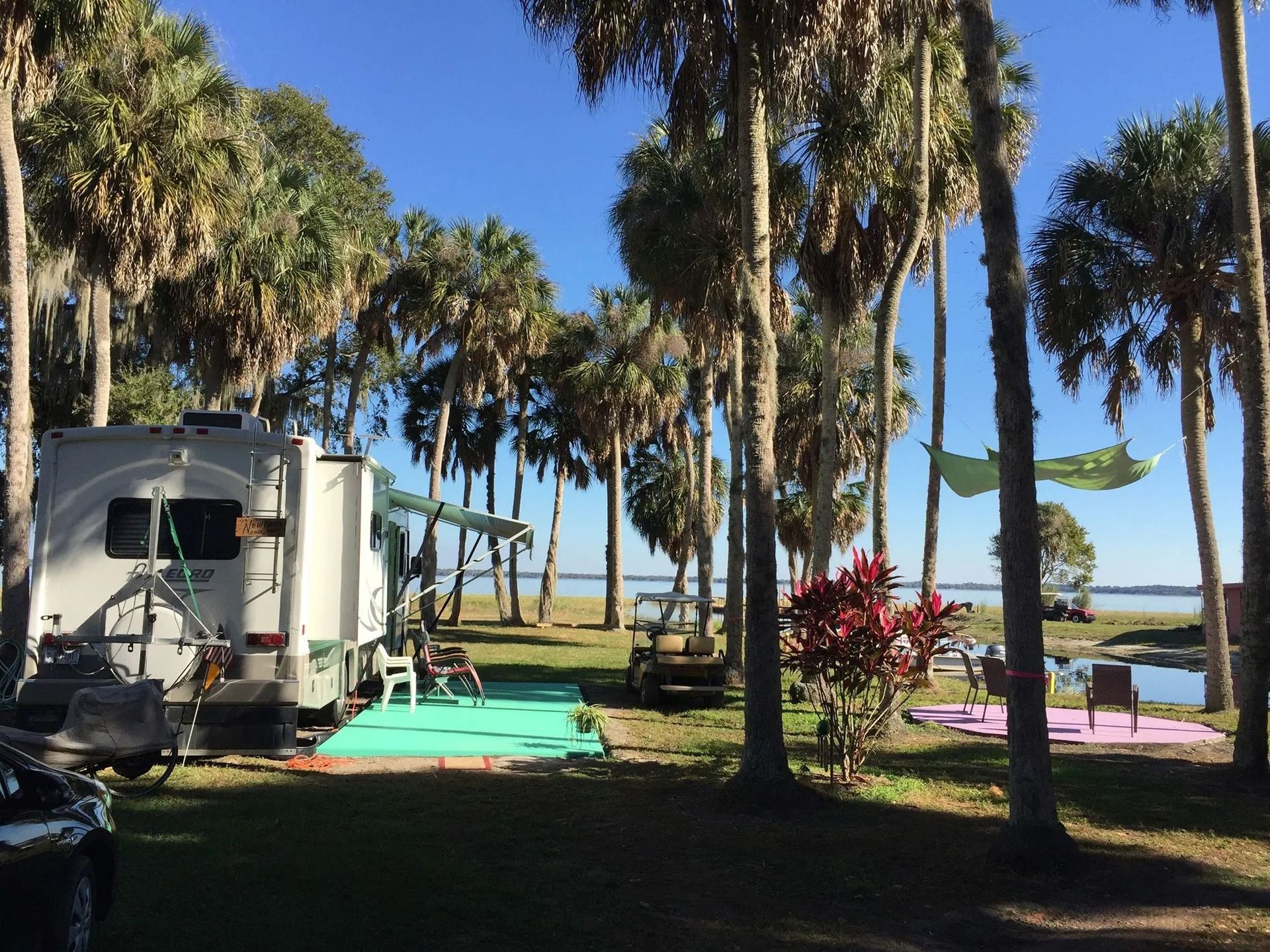 A rv is parked in a campground surrounded by palm trees.